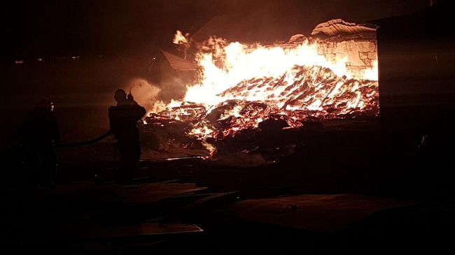 Пожар на кроличьей ферме в селе Голубьевка, Энгельсского района, Саратовской области. 5 ноября 2019 Пожар на кроличьей ферме в селе Голубьевка, Энгельсского района, Саратовской области. 5 ноября 2019