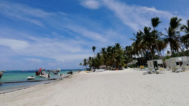 Доминикана. Пляж отеля Melia Punta Cana Beach Resort Доминикана. Пляж отеля Melia Punta Cana Beach Resort