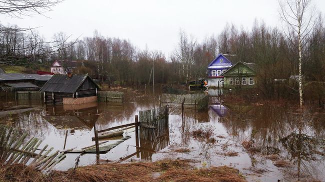 Последствия подтопления в поселке Крестцы Новгородской области Последствия подтопления в поселке Крестцы Новгородской области