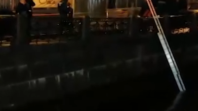 Поиск человеческих останков в Мойке Поиск человеческих останков в Мойке
