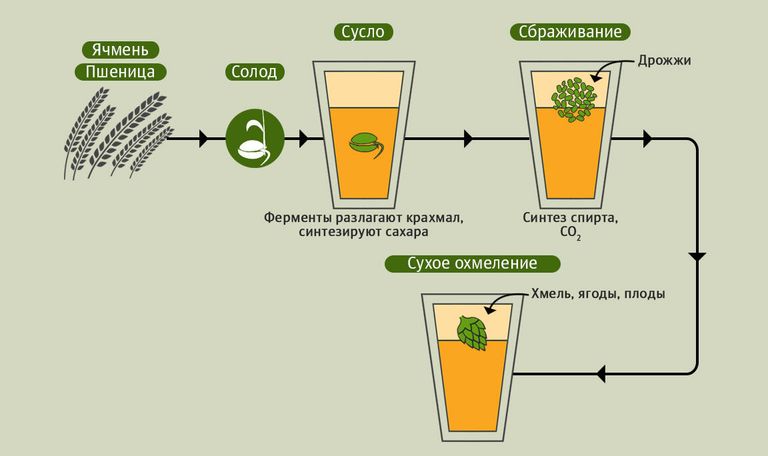 Производство крафтового пива