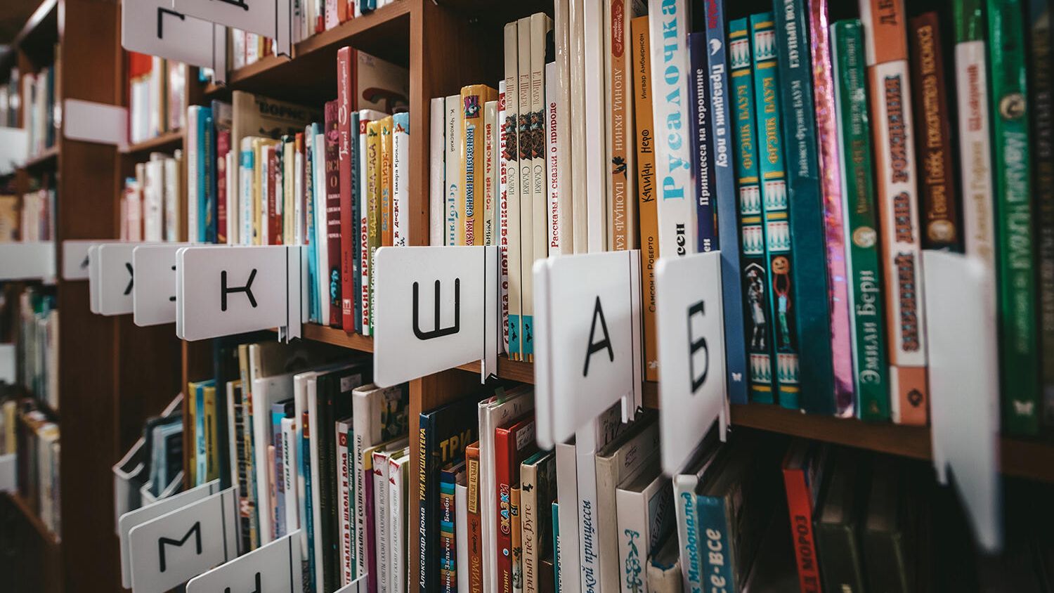 Книжные полки в библиотеке Книжные полки в библиотеке - РИА Новости, 1920, 18.10.2024