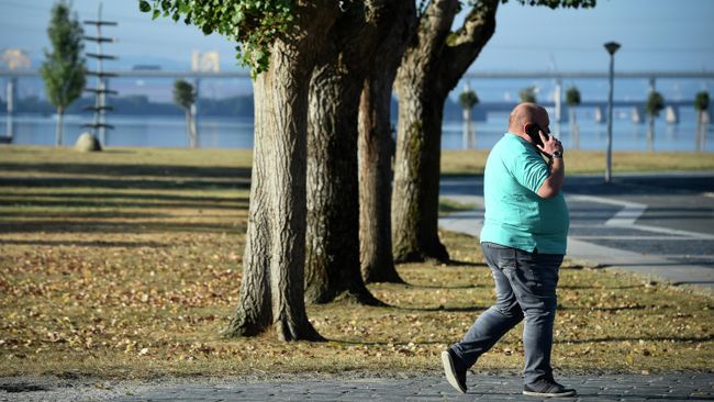 Мужчина во время прогулки в парке Мужчина во время прогулки в парке