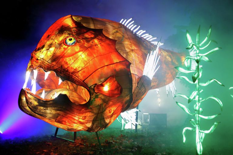 Светящаяся скульптура на фестивале огней Ocean en voie d’illumination в Париже