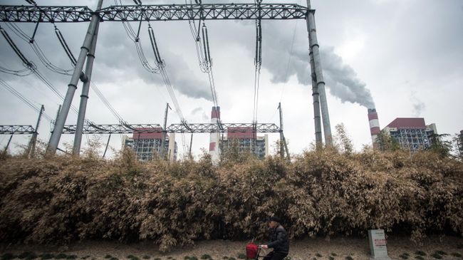 Мужчина проезжает мимо угольной электростанции Shanghai Waigaoqiao Power Generator Company в Шанхае, Китай Мужчина проезжает мимо угольной электростанции Shanghai Waigaoqiao Power Generator Company в Шанхае, Китай