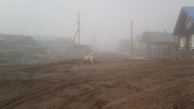 Село Мутный Материк в городском округе Усинск Республики Коми Село Мутный Материк в городском округе Усинск Республики Коми