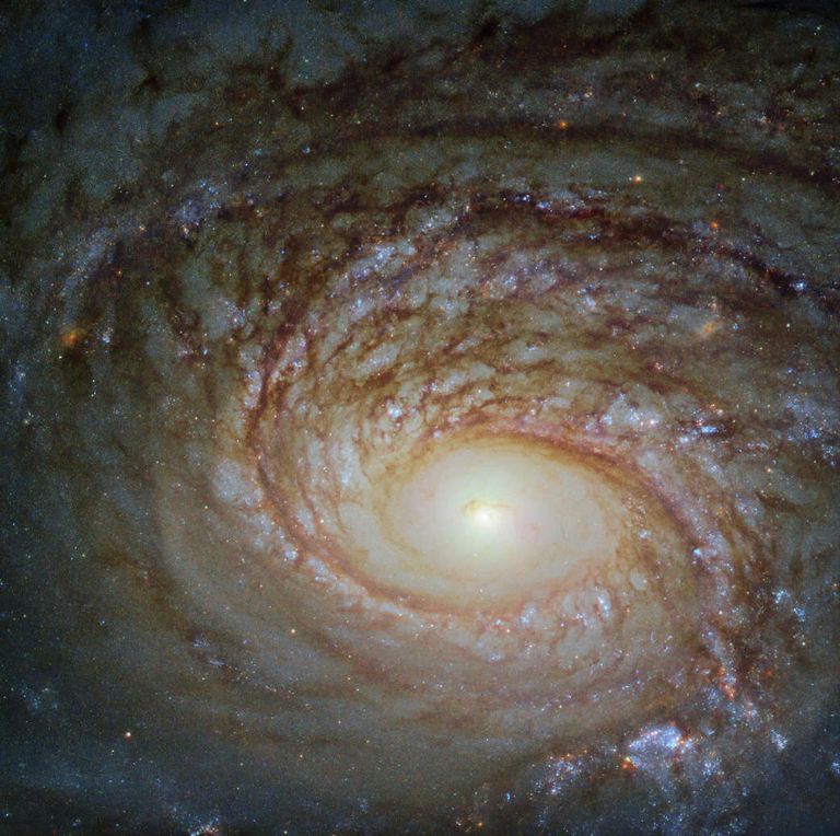 Спиральная галактика NGC 772 Спиральная галактика NGC 772