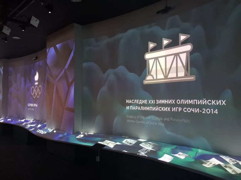 Российский Международный Олимпийский Университет в Сочи (РМОУ)