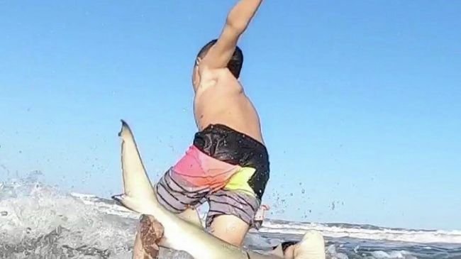 Стоп-кадр видео нападения акулы на ребенка Стоп-кадр видео нападения акулы на ребенка