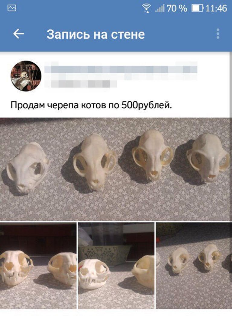 Страница группы Ники во Вконтакте