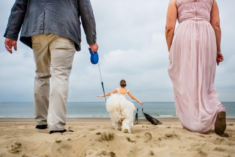 Steven Herrschaft. Работа победителя конкурса свадебной фотографии International Wedding Photographer of the Year Steven Herrschaft. Работа победителя конкурса свадебной фотографии International Wedding Photographer of the Year