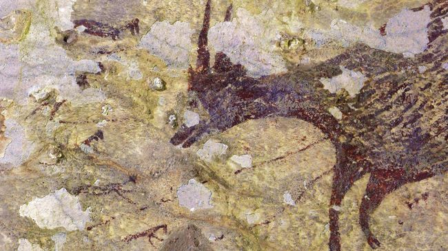 Пещерная живопись, датируемая возрастом 44 000 лет, найденная в известняковой пещере на острове Сулавеси, Индонезия Пещерная живопись, датируемая возрастом 44 000 лет, найденная в известняковой пещере на острове Сулавеси, Индонезия
