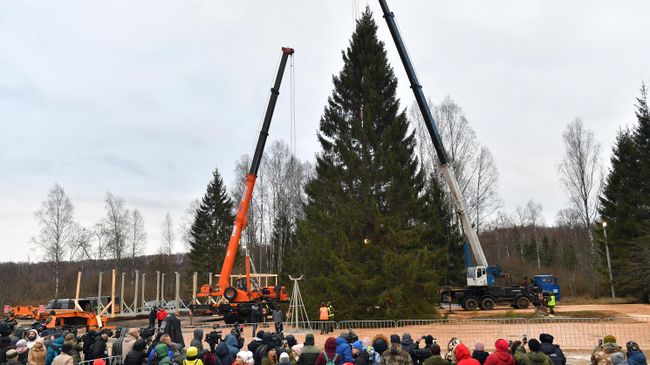Торжественный спил 20-ой общероссийской новогодней елки 2019-2020 Торжественный спил 20-ой общероссийской новогодней елки 2019-2020