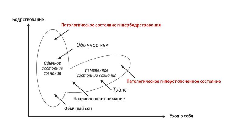 Обычное и измененное состояние сознания Обычное и измененное состояние сознания