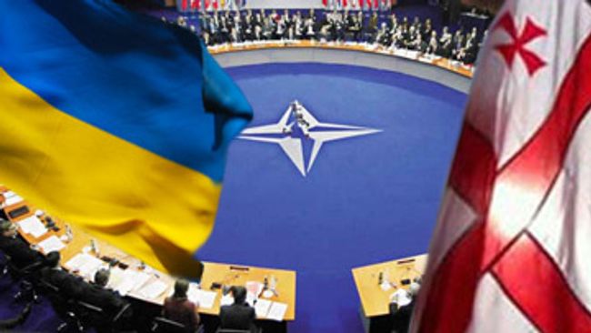 Членство Грузии и Украины в НАТО не будет способствовать безопасности Европы - Шредер Членство Грузии и Украины в НАТО не будет способствовать безопасности Европы - Шредер