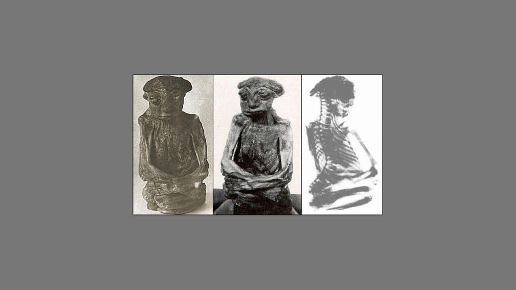 Мумия гор Сан-Педро Мумия гор Сан-Педро - РИА Новости, 1920, 03.03.2023