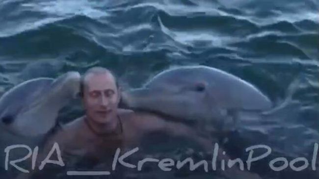 Владимир Путин плавает с дельфинами. Архивные кадры. 2000 год Владимир Путин плавает с дельфинами. Архивные кадры. 2000 год