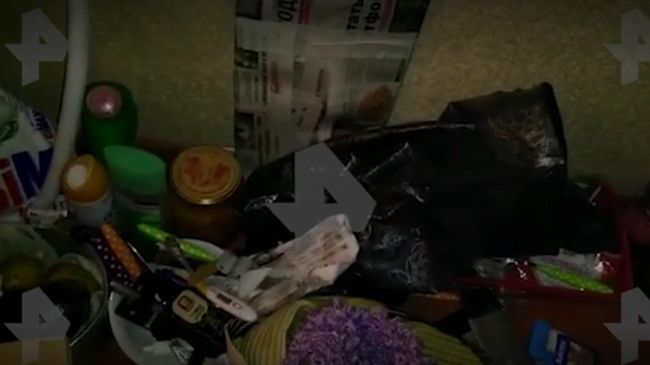 Видео из квартиры пропавшей в Новый год девочки Видео из квартиры пропавшей в Новый год девочки