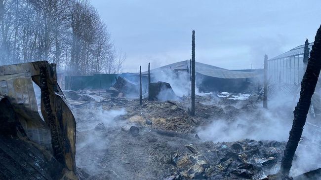 Последствия пожара на территории дачного товарищества в Раменском районе Последствия пожара на территории дачного товарищества в Раменском районе