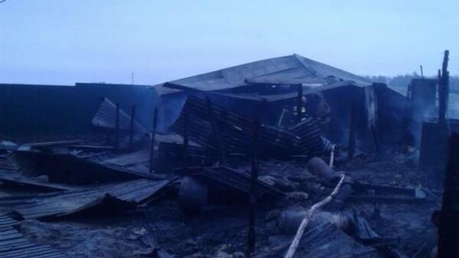 Последствия пожара на территории дачного товарищества в Раменском районе Последствия пожара на территории дачного товарищества в Раменском районе