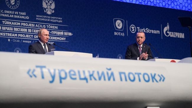 Президент России Владимир Путин и президент Турции Реджеп Тайип Эрдоган на церемонии официального открытия газопровода Турецкий поток в Стамбуле