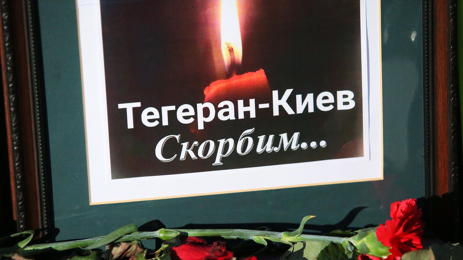 Цветы у посольства Ирана в Киеве в память о погибших в результате крушения пассажирского лайнера Украины Boeing 737-800 в Тегеране Цветы у посольства Ирана в Киеве в память о погибших в результате крушения пассажирского лайнера Украины Boeing 737-800 в Тегеране - РИА Новости, 1920, 13.08.2025