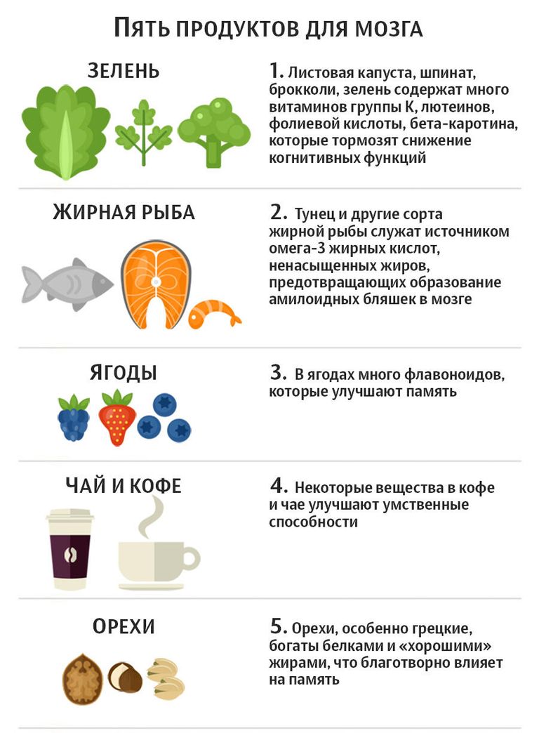 Пять продуктов для мозга Пять продуктов для мозга