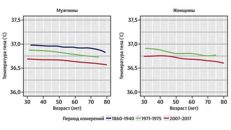 Измерения температуры тела мужчин и женщин разного возраста Измерения температуры тела мужчин и женщин разного возраста