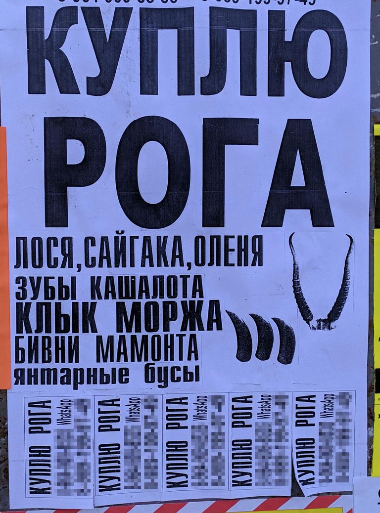 Объявление на остановке в Краснодаре