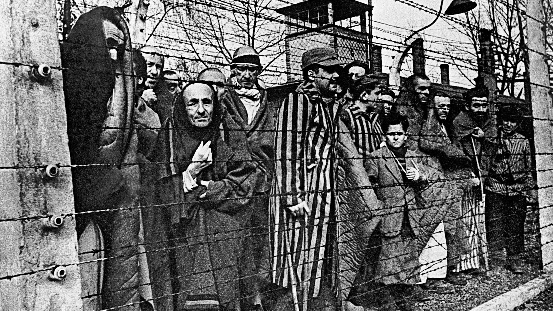 Заключенные концлагеря Освенцим   - РИА Новости, 1920, 24.01.2026