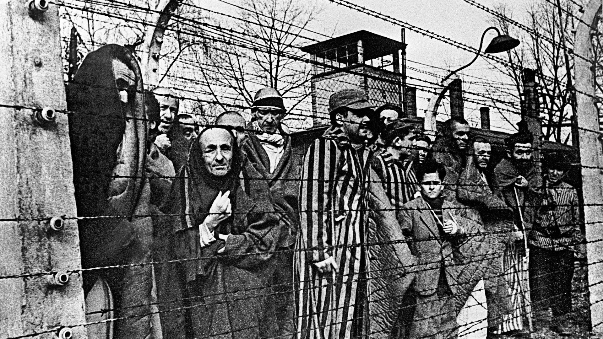Заключенные концлагеря Освенцим Заключенные концлагеря Освенцим - РИА Новости, 1920, 10.05.2026