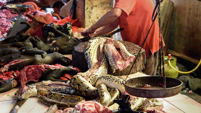 Мясо змеи на традиционном рынке в Индонезии Мясо змеи на традиционном рынке в Индонезии