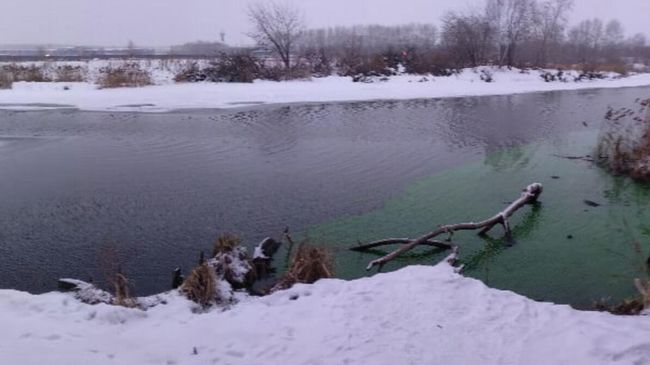 Вода в реке Миасс, окрашенная в зеленый цвет Вода в реке Миасс, окрашенная в зеленый цвет
