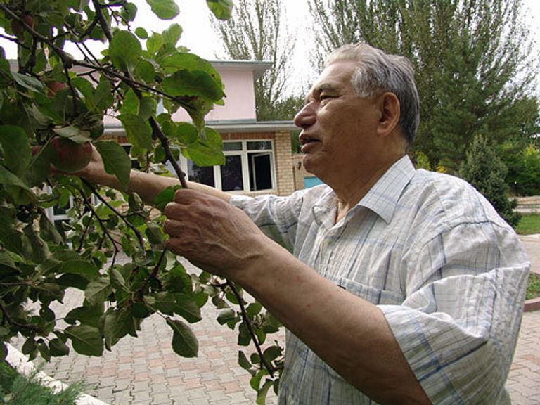 Чингиз Айтматов Чингиз Айтматов