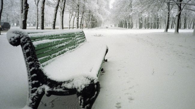 Скамейка под снегом