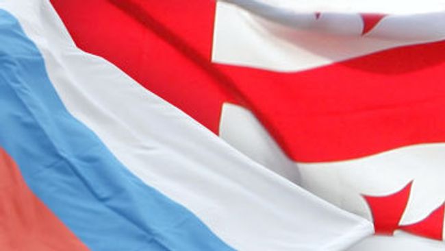 Делегация Грузии в ПАСЕ внесла предложение лишить делегацию РФ голоса