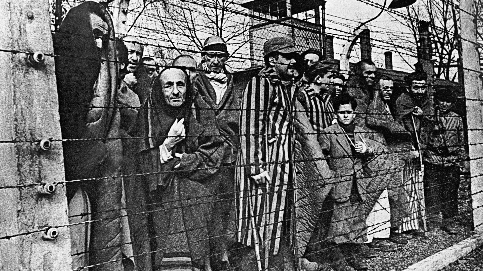 Узники Освенцима Узники Освенцима - РИА Новости, 1920, 11.04.2026