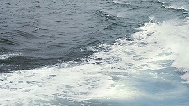 Швеция разрешила прокладку Nord Stream в своих территориальных водах