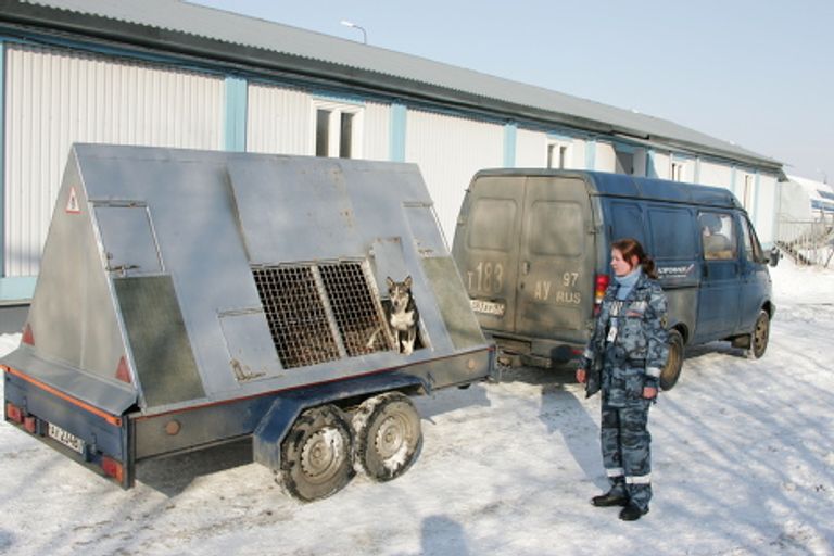 Служба авиационной безопасности Аэрофлота Служба авиационной безопасности Аэрофлота