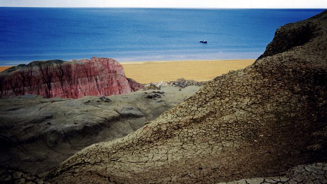 Берег Аральского моря. Архивное фото Берег Аральского моря. Архивное фото