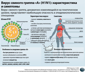 Вирус свиного гриппа «A» (H1N1): характеристика и симптомы Вирус свиного гриппа «A» (H1N1): характеристика и симптомы