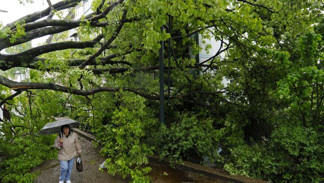 Вещание Эхо Москвы в Петербурге прервано из-за шторма