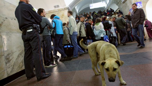 Выход в город со станции Курская Кольцевой линии. Архивное фото
