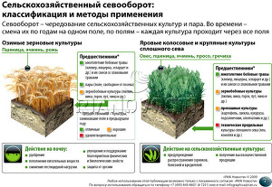 Сельскохозяйственный севооборот:классификация и методы применения Сельскохозяйственный севооборот:классификация и методы применения