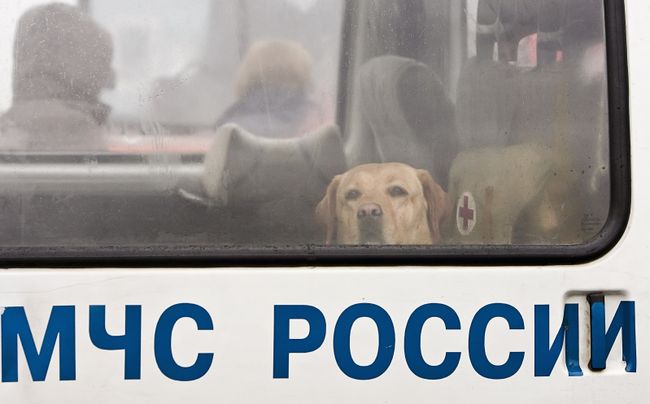 Почти 500 человек эвакуировали из школы в Москве из-за угрозы пожара Почти 500 человек эвакуировали из школы в Москве из-за угрозы пожара