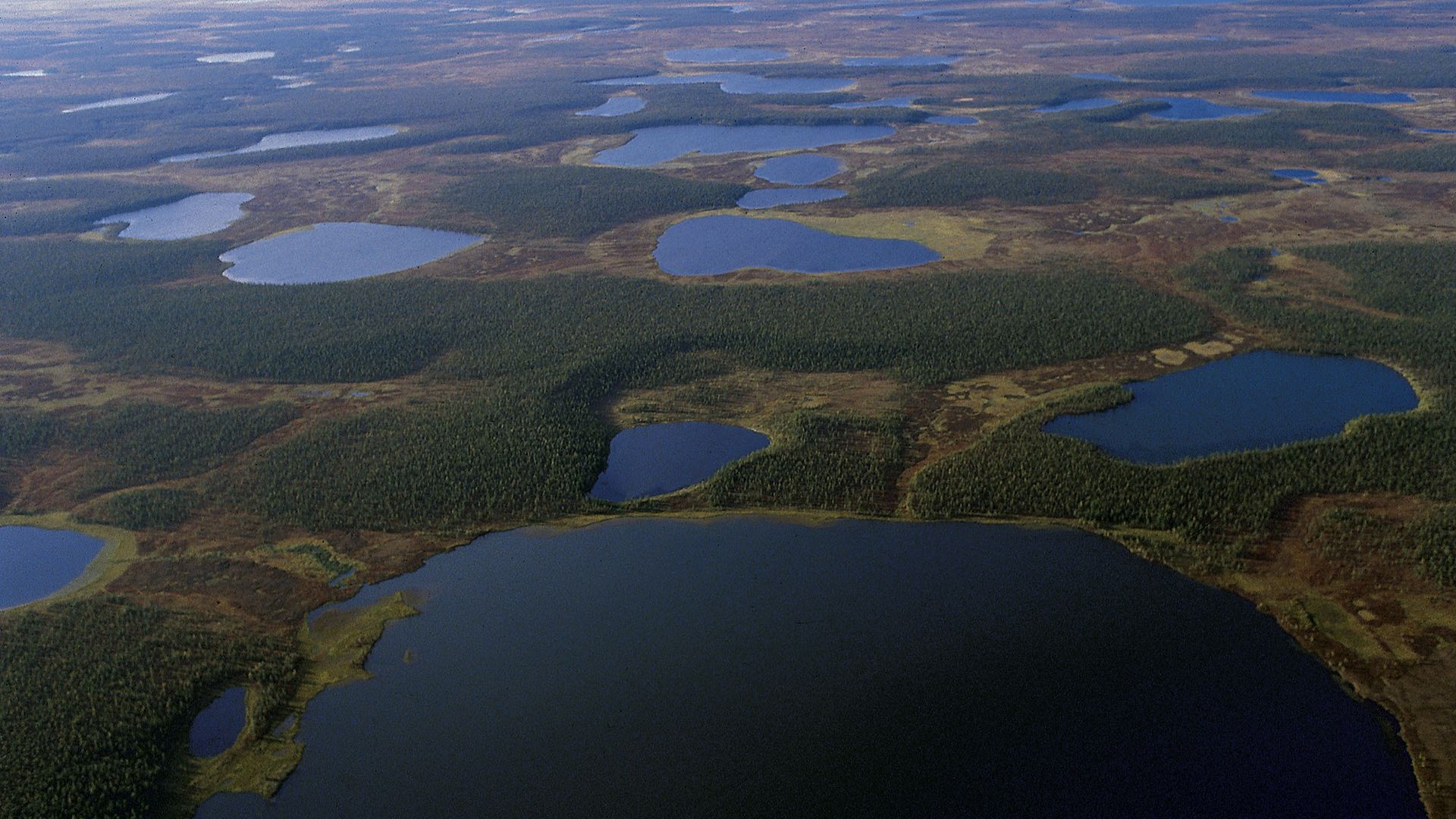 Полуостров Таймыр Полуостров Таймыр - РИА Новости, 1920, 12.07.2020