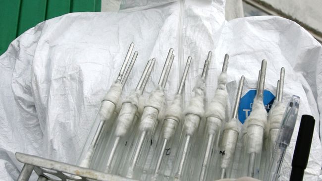 Пандемия гриппа A/H1N1
