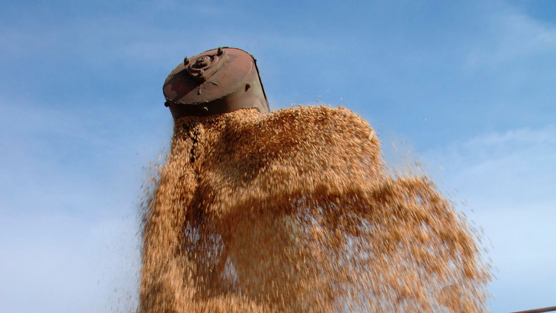 Уборка урожая риса на Кубани Уборка урожая риса на Кубани - РИА Новости, 1920, 27.09.2023