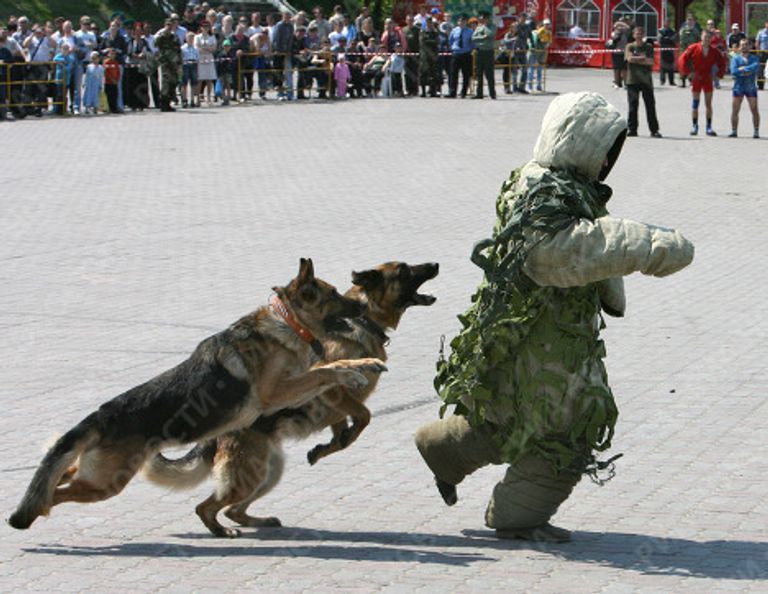 Военно-спортивный праздник, посвященный Дню пограничника, во Владивостоке Военно-спортивный праздник, посвященный Дню пограничника, во Владивостоке