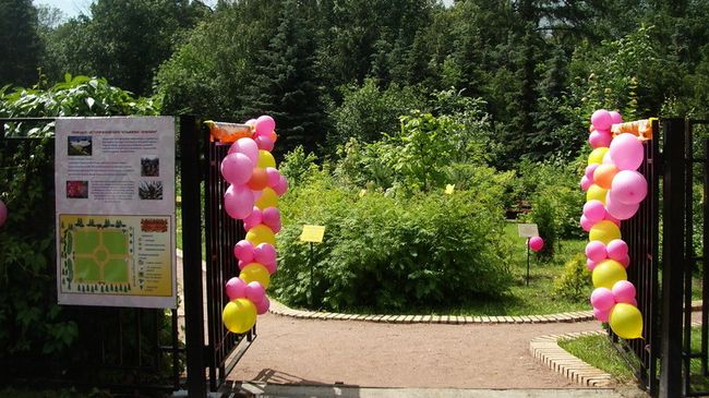 Дендросад в Природно-историческом парке Кузьминки-Люблино
